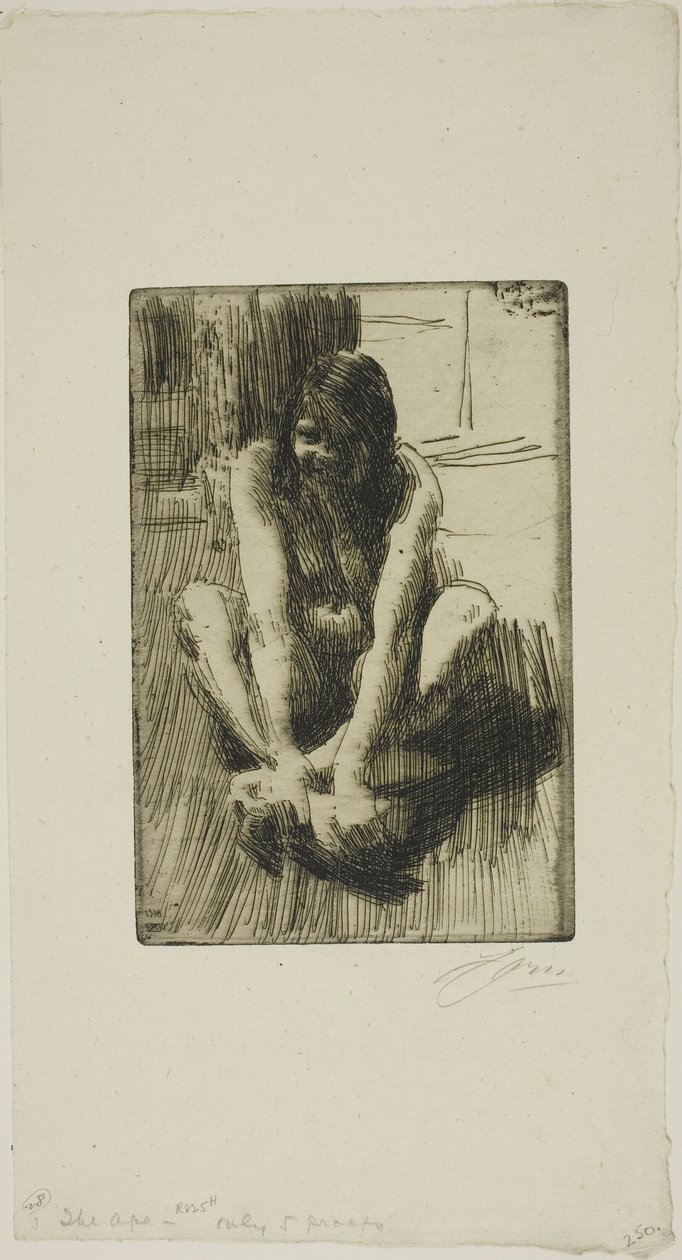Der Frosch von Anders Leonard Zorn