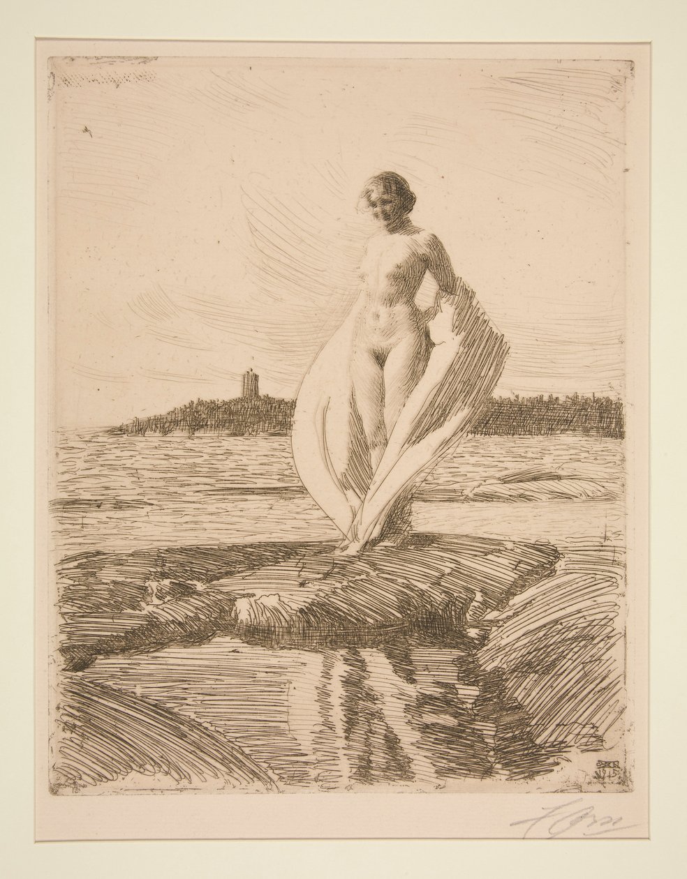 Der Schwan von Anders Leonard Zorn