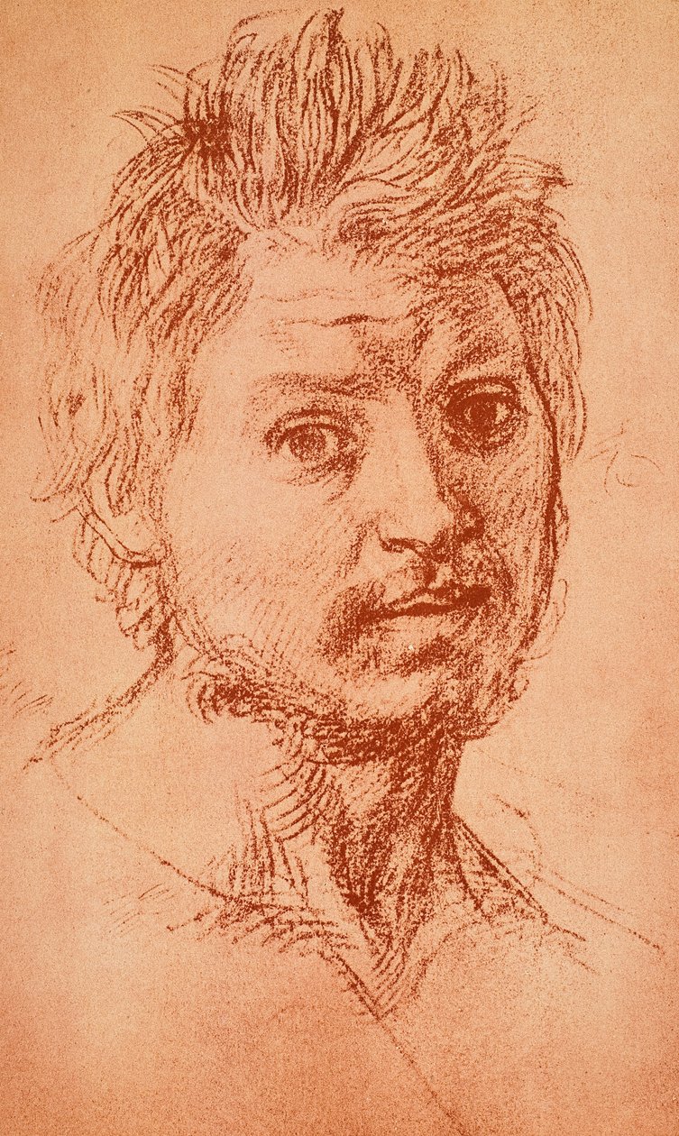 Männlicher Kopf von Andrea del Sarto