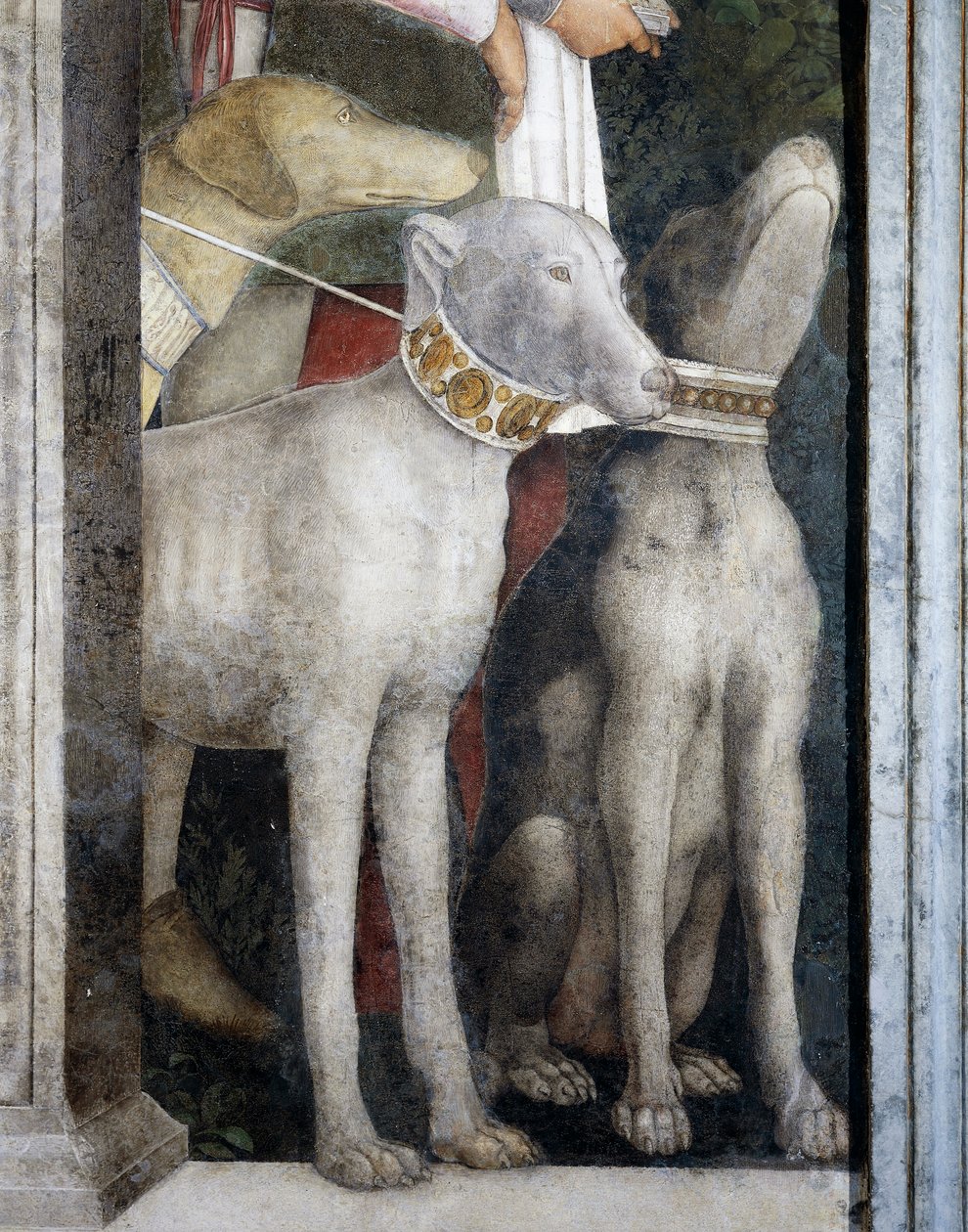 Molossische Hunde (Detail) von Andrea Mantegna