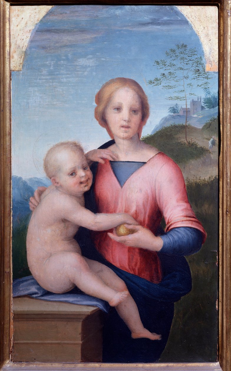 Jungfrau mit Kind von Andrea del Sarto