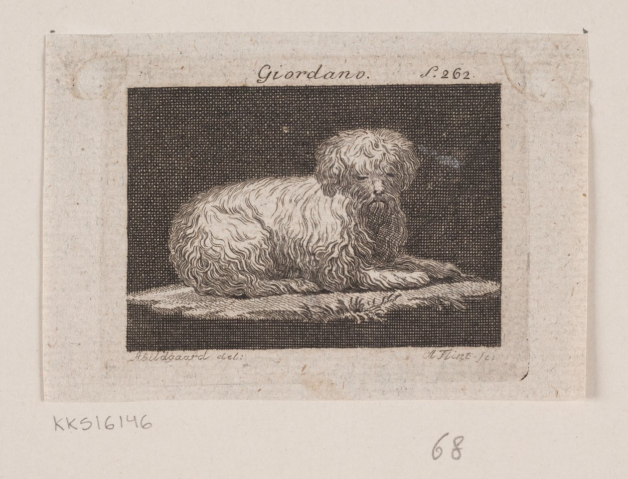 Giordano, ein liegender Hund von Andreas Flint
