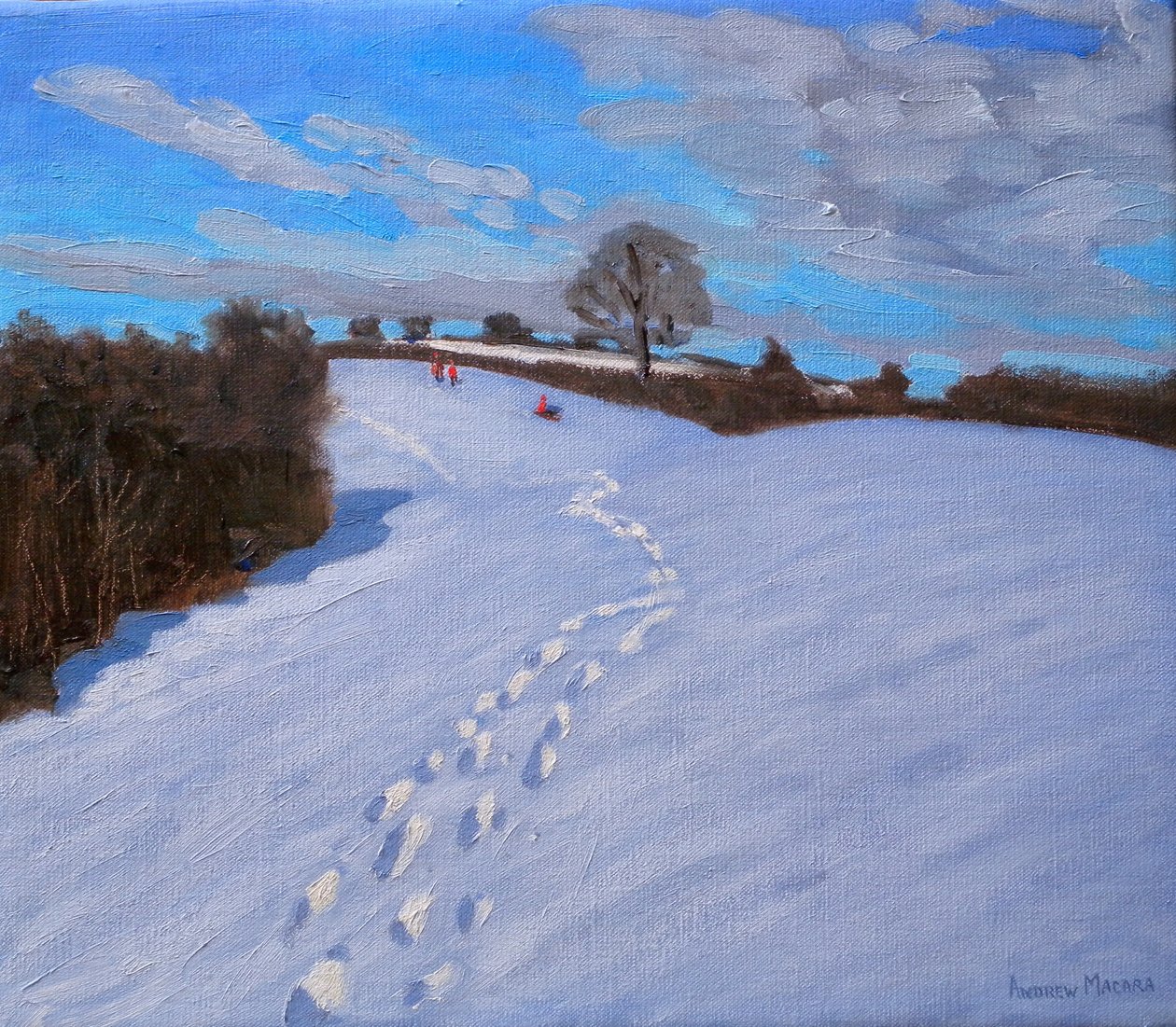 Fußspuren im Schnee, 2009 von Andrew Macara