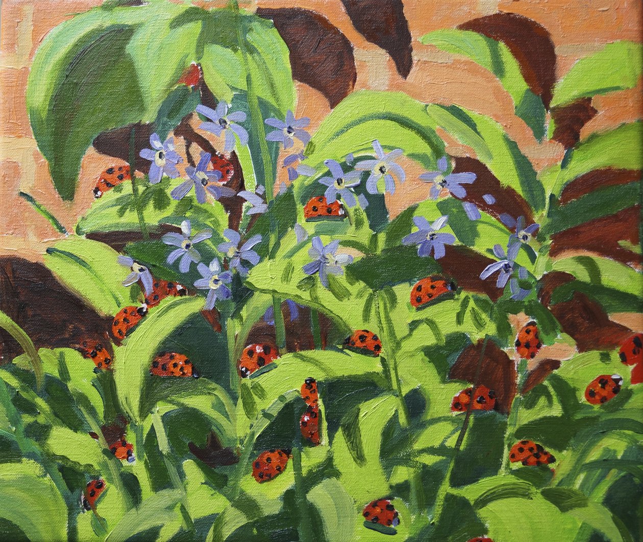 Marienkäfer, 2013 von Andrew Macara
