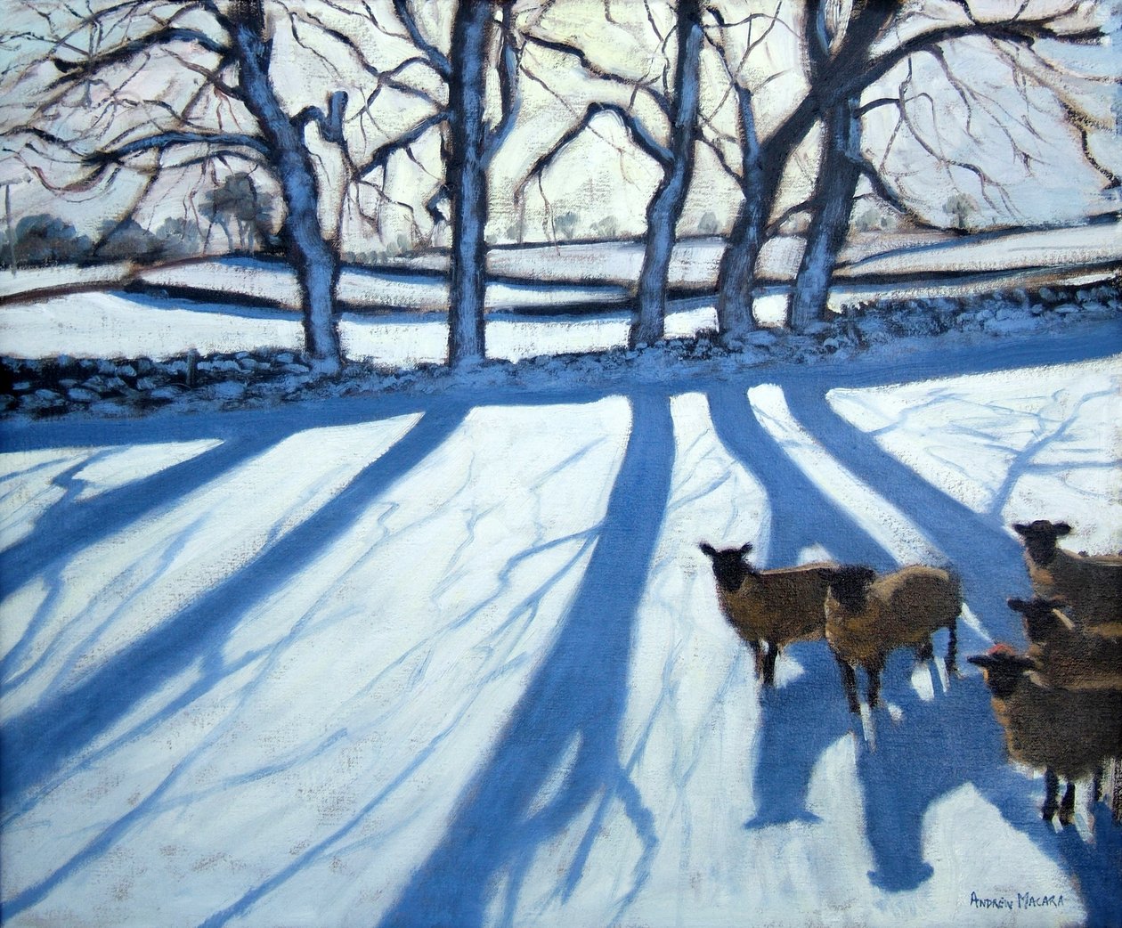 Schafe im Schnee, Derbyshire von Andrew Macara