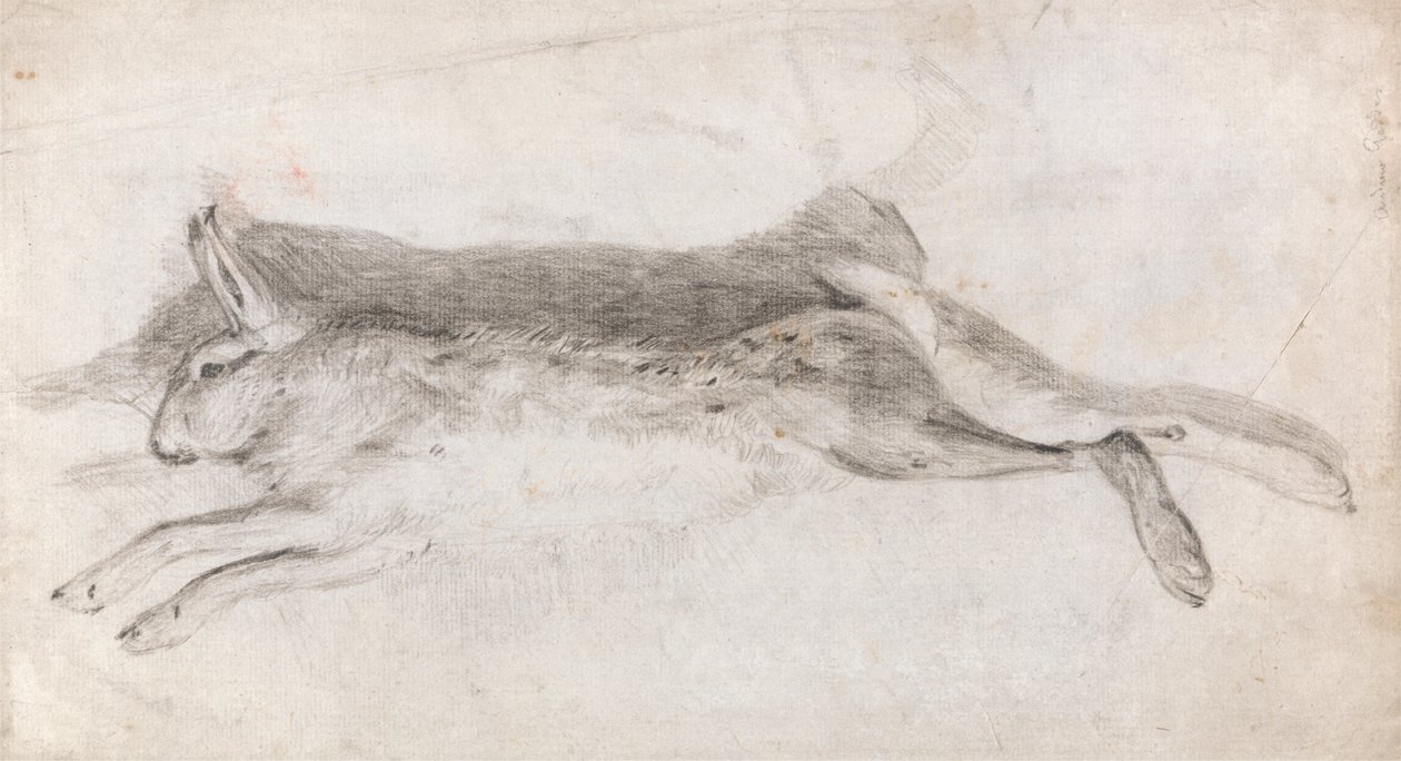 Toter Hase von Andrew Geddes