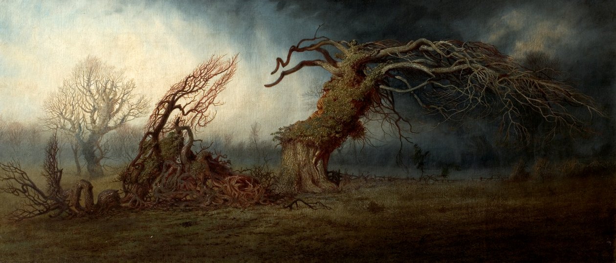 Der zerstörte Baum von Andrew MacCallum