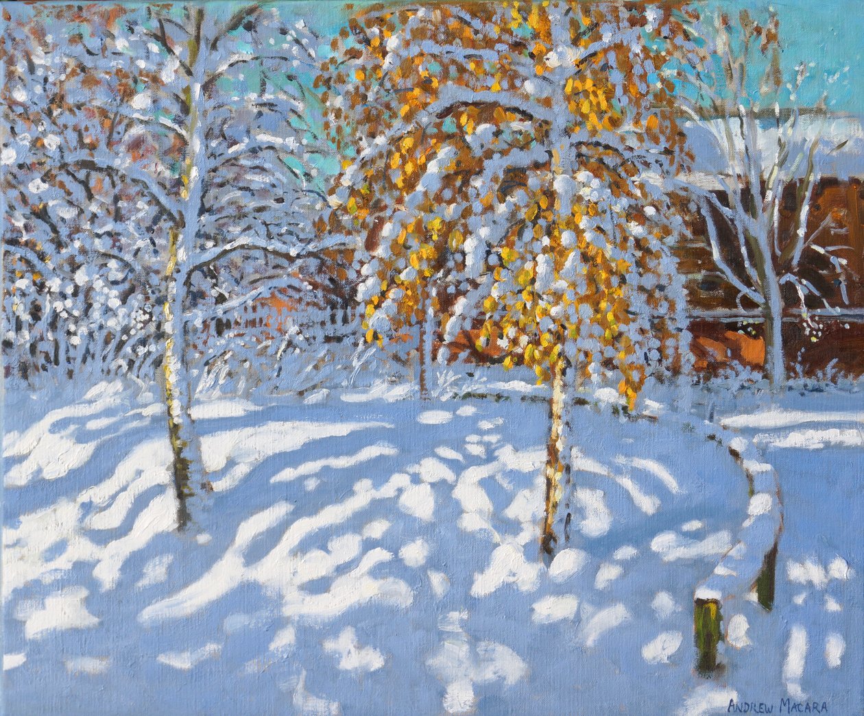 Goldene Blätter im Winter, Normanton, Derby von Andrew Macara