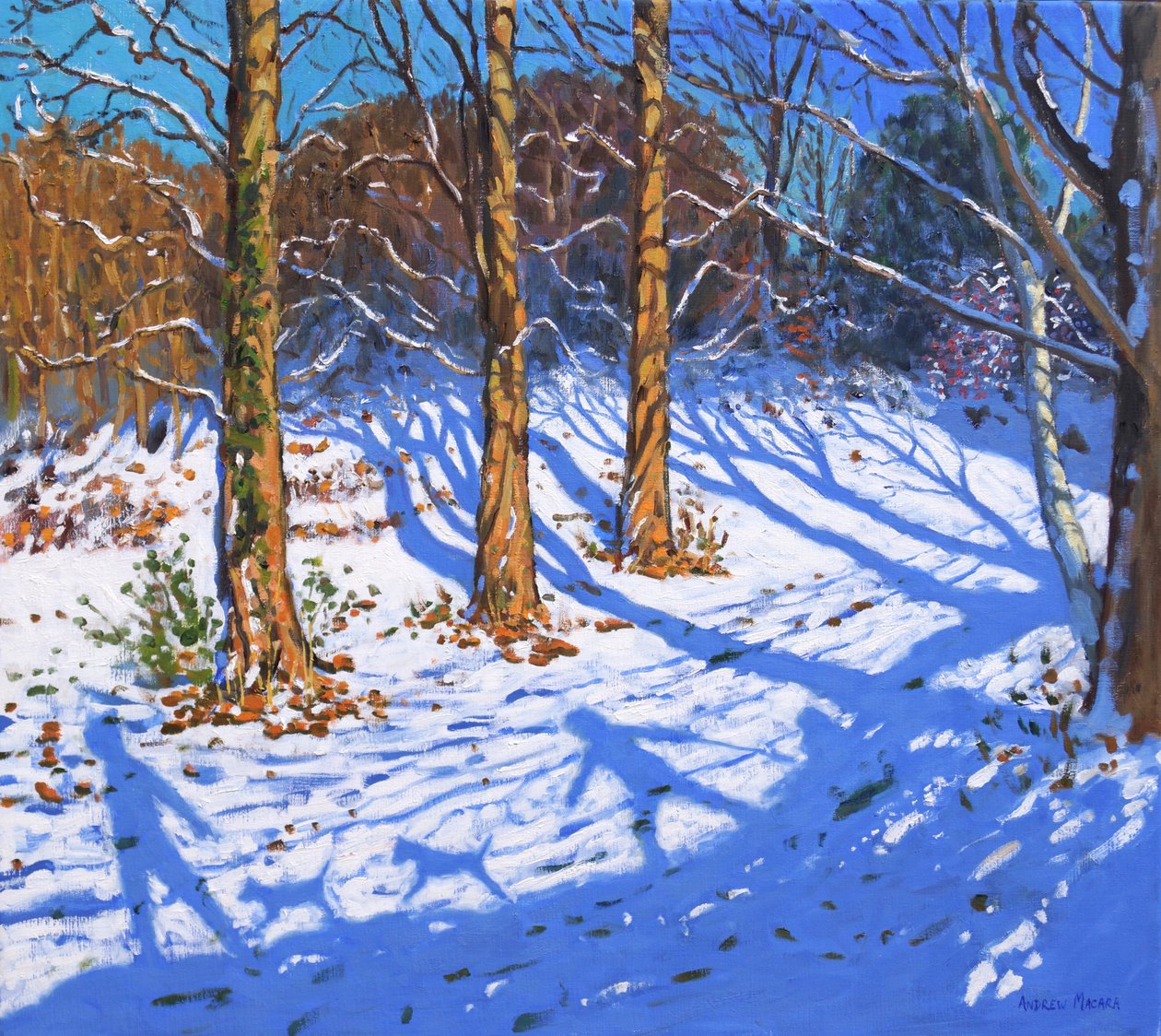 Novemberschnee, Allestree Park, Derby von Andrew Macara