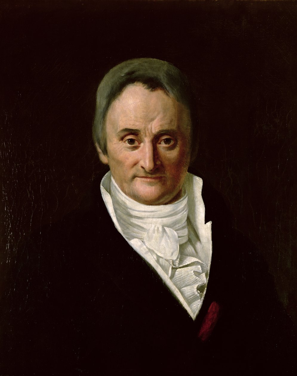 Philippe Pinel (1745-1826) von Anna M. Merimee