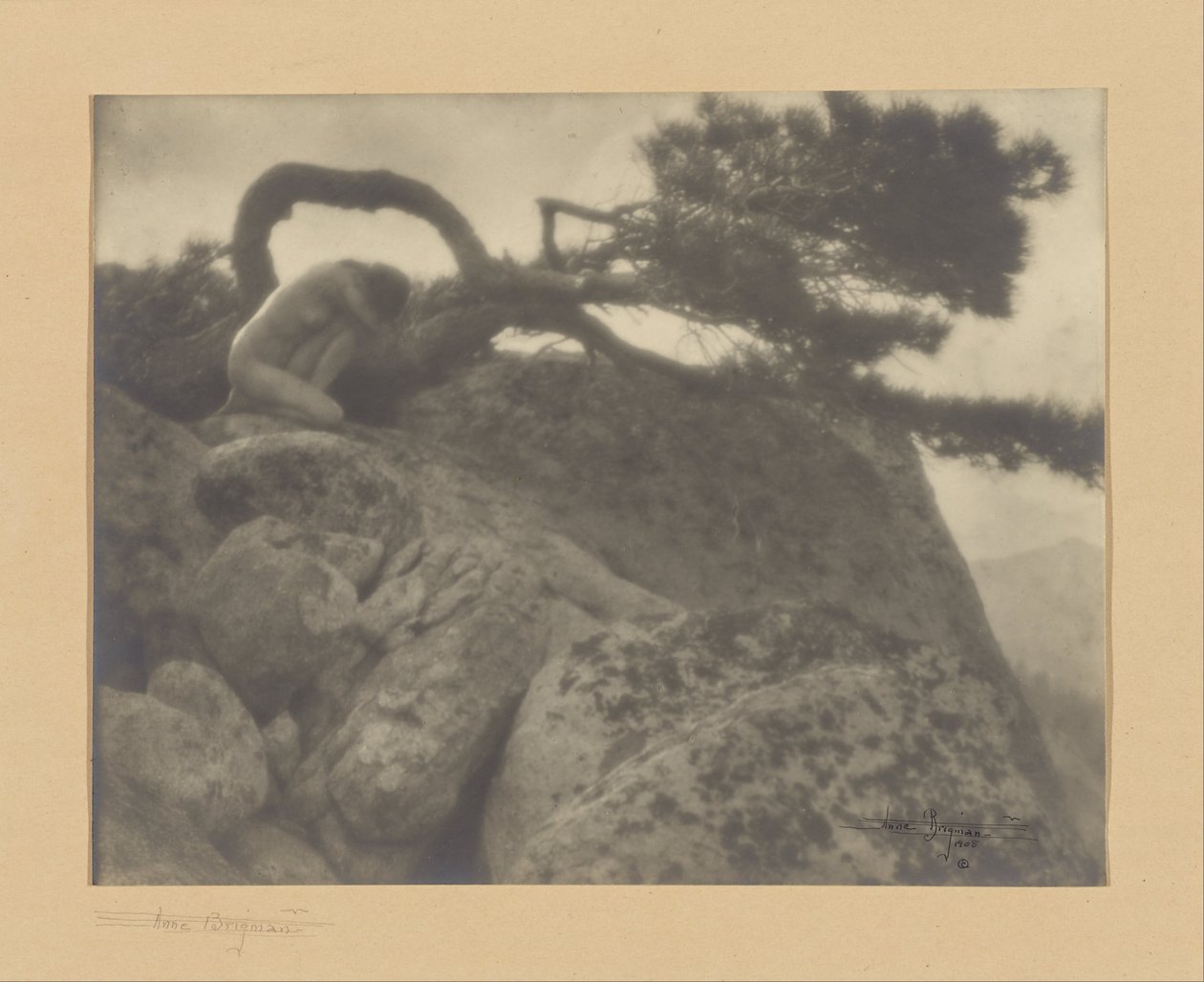 Die einsame Kiefer von Anne W. Brigman