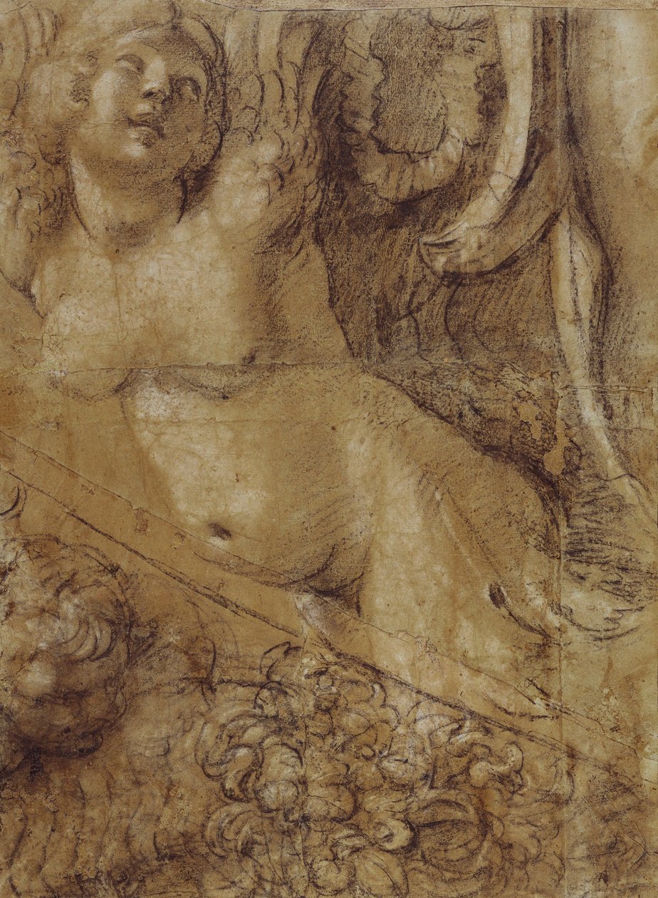 Kartone Sirena von Annibale Carracci