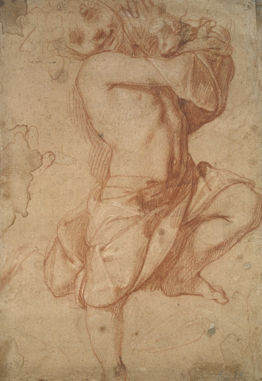 Halbnackter Junge von Annibale Carracci