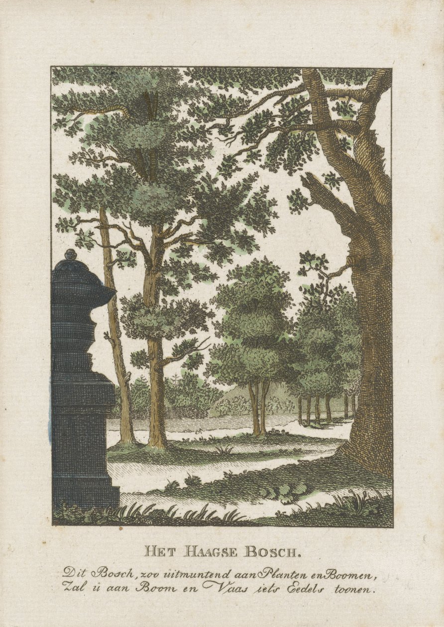 Haagse Bos von Anonymous