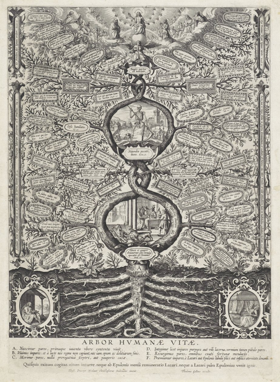 Lebensbaum von Anonymous