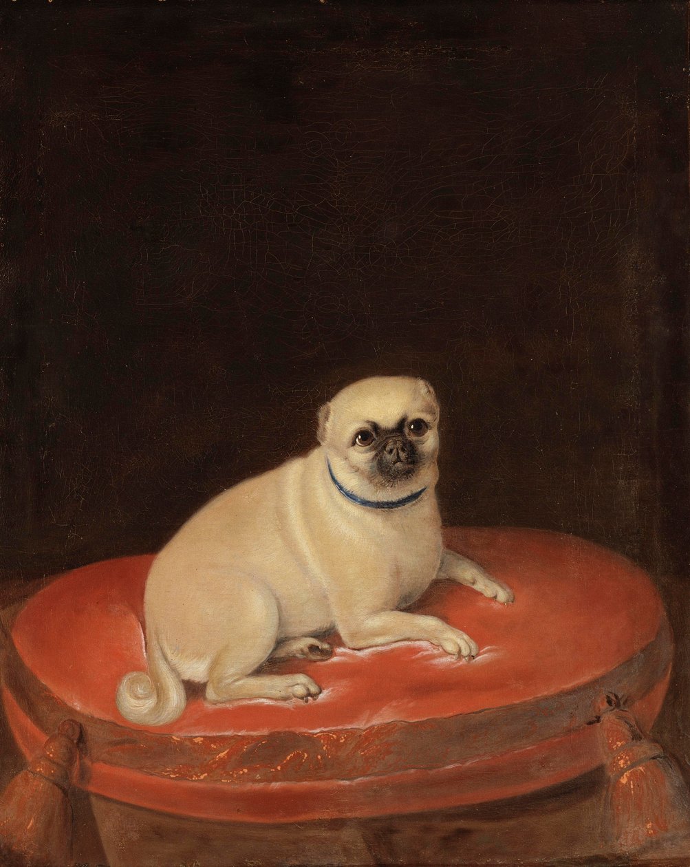 Mops von Anonymous