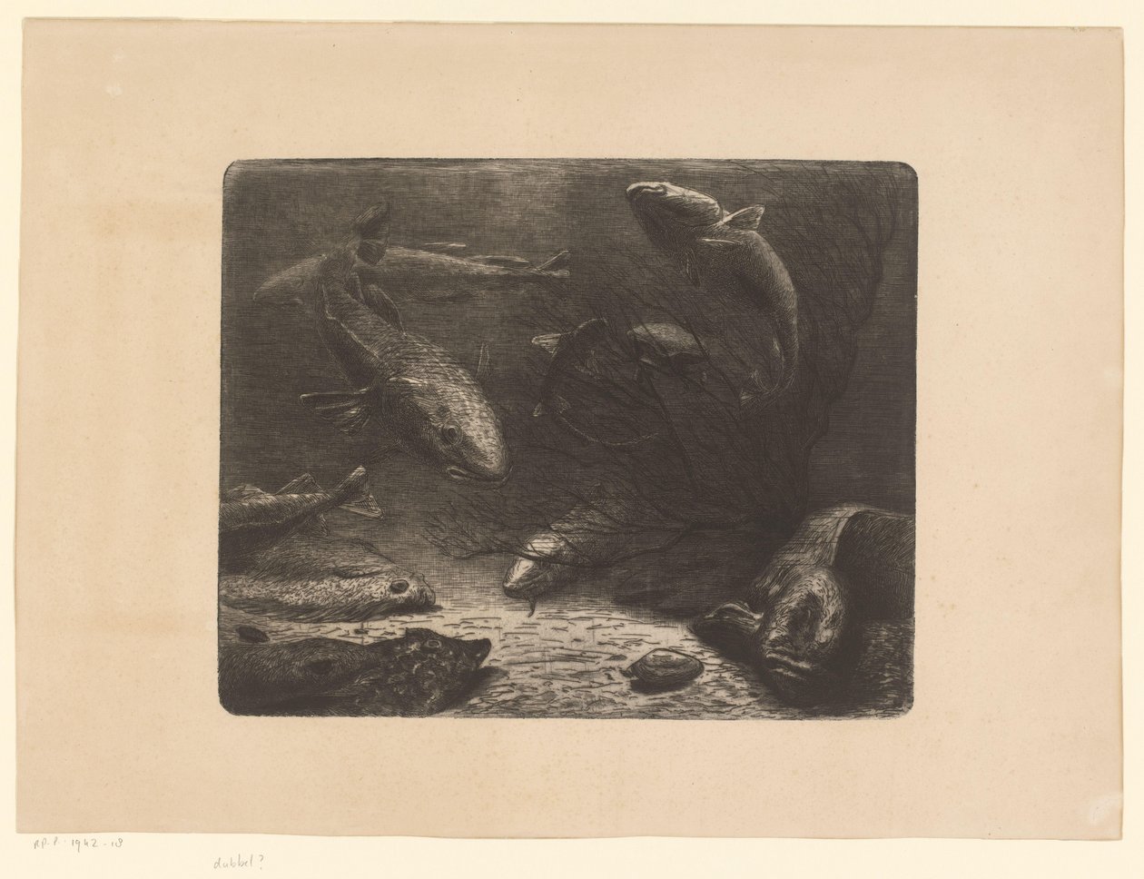 Hecht, Rochen, Plattfisch, Krabbe, Aal und andere Fische von Anonymous