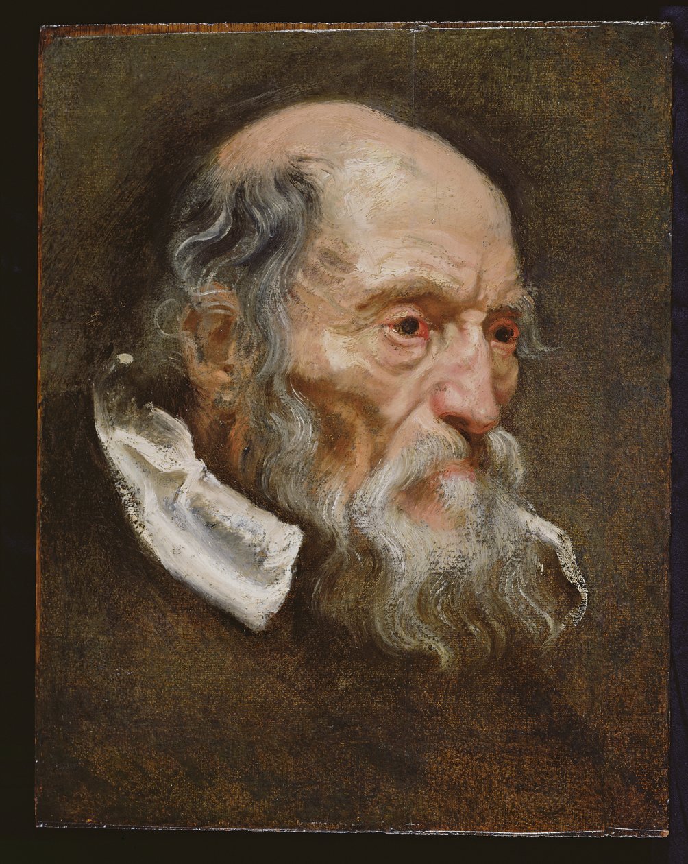 Porträt eines alten Mannes von Anthony van Dyck