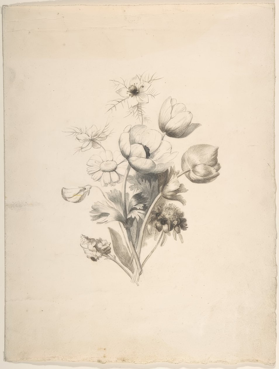 Floral Design von Antoine Berjon