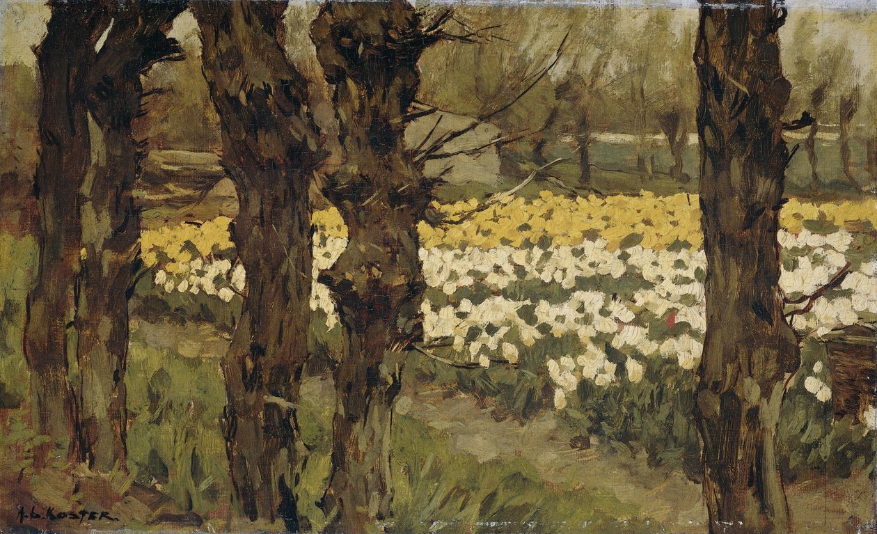 Tulpenfelder von Anton L. Koster