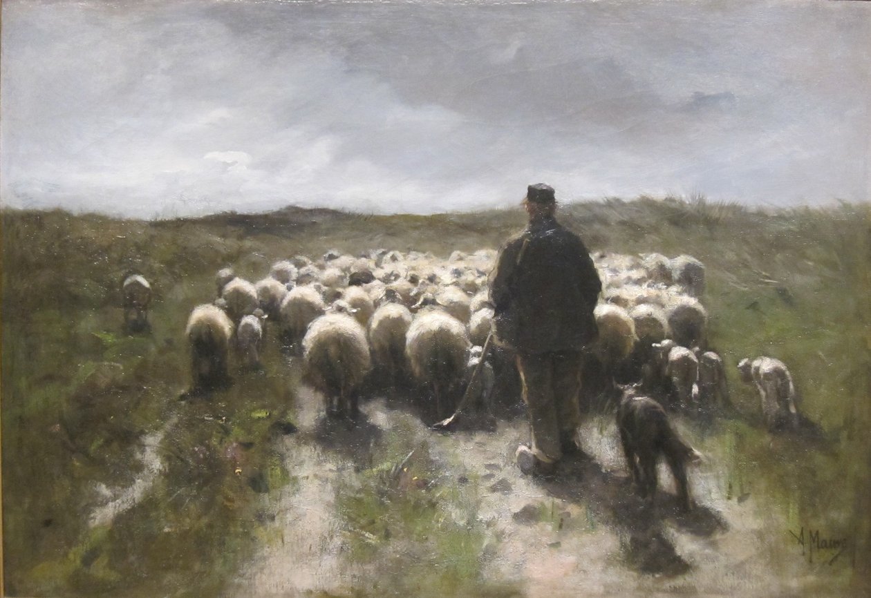 Schäfer und Schafe von Anton Mauve