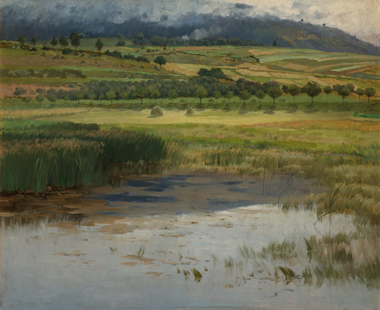 Der Ertrunkene Teich, 1887 von Antonin Chittussi