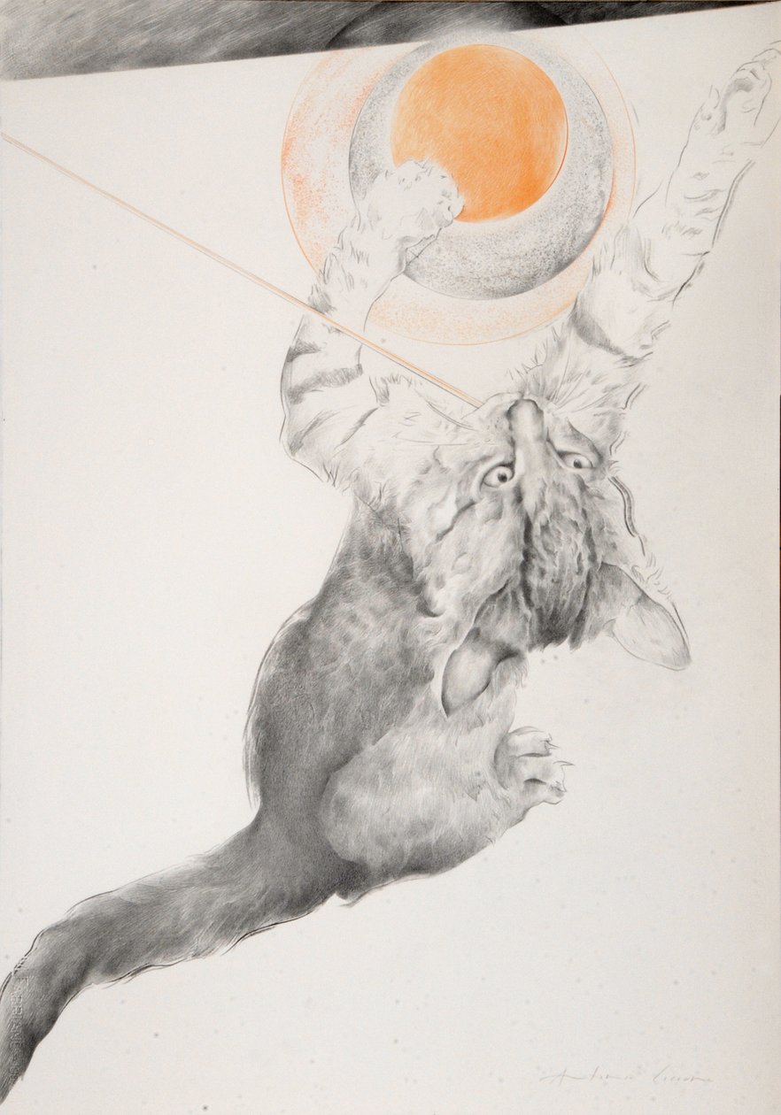 Unbekanntes Bild von Antonio Ciccone