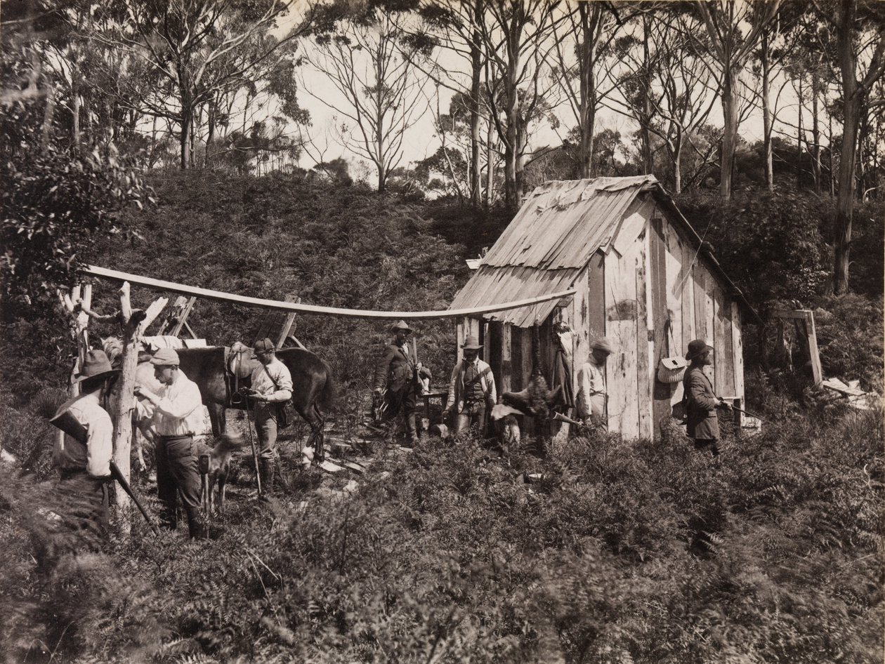 Berties Hütte, Expedition des Field Naturalists