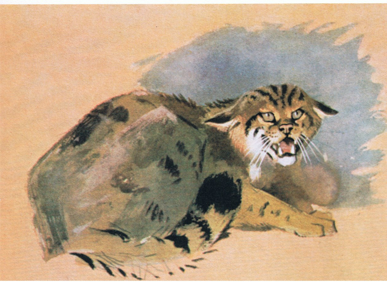 Wildkatze, veröffentlicht von Book Club Associates, 1972 von Archibald Thorburn
