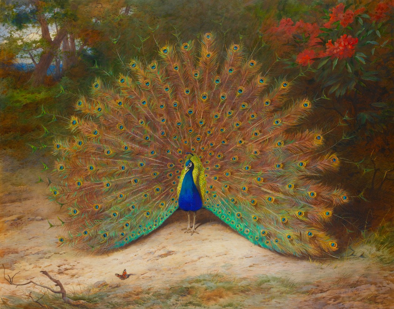 Pfau und Tagpfauenauge von Archibald Thorburn