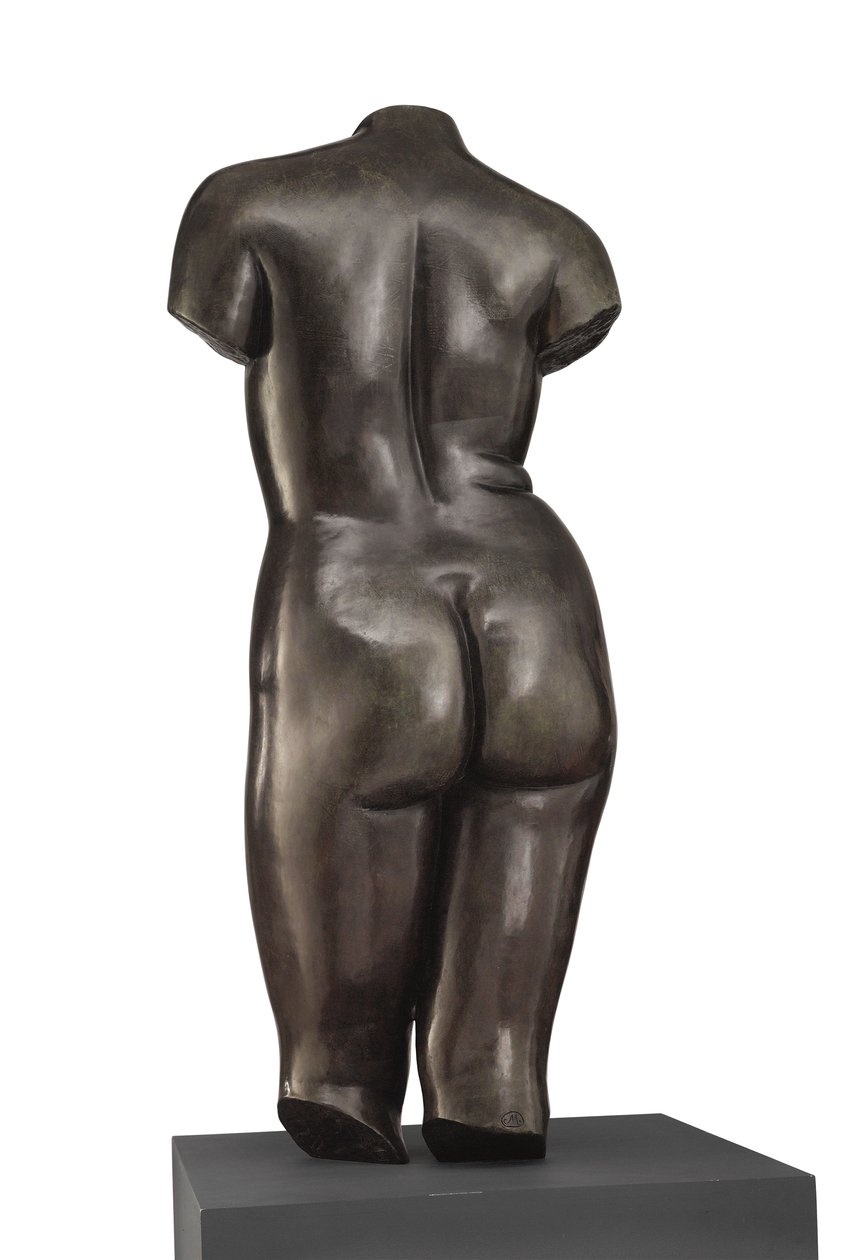 Torso der Venus (Rückansicht) von Aristide Maillol