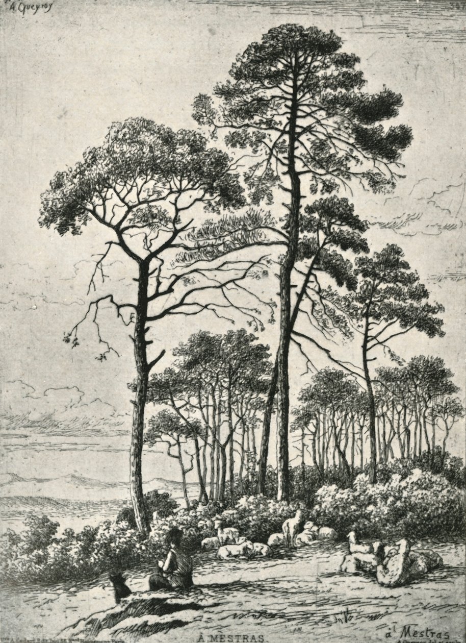 À Mestras, 1906 von Armand Queyroy
