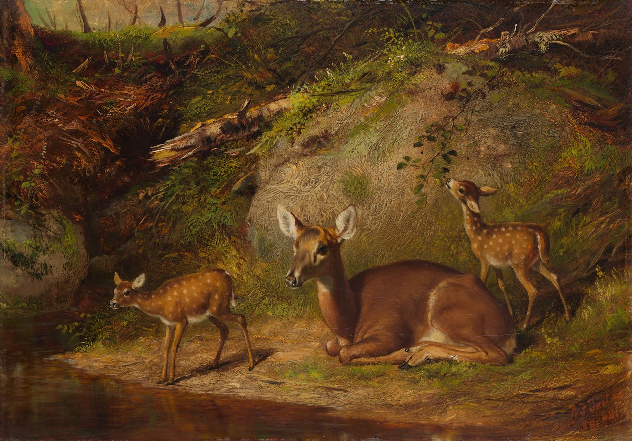Reh und zwei Kitze von Arthur Fitzwilliam Tait