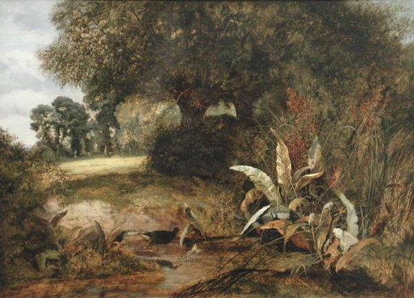 Eine ruhige Ecke von Arthur J. Stark