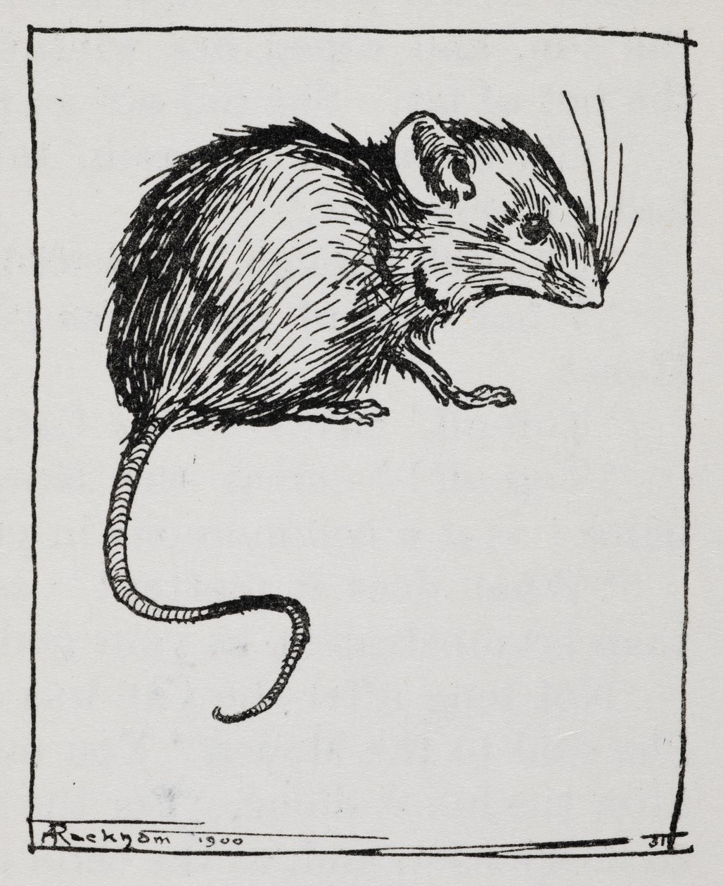 Eine Maus von Arthur Rackham