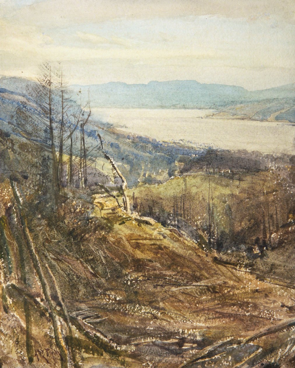 Coniston von Near Tarn Hows von Arthur Reginald Smith