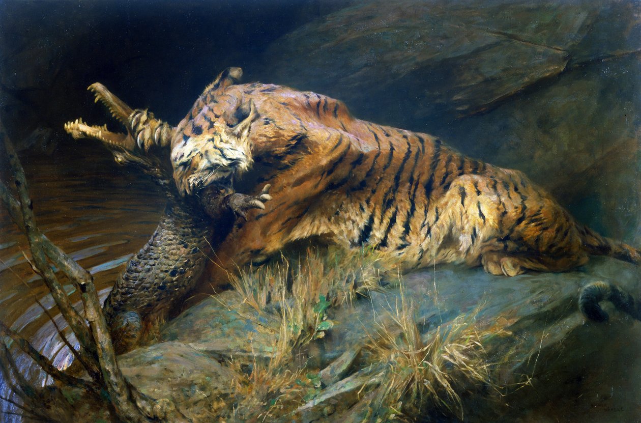 Tiger und Krokodil von Arthur Wardle