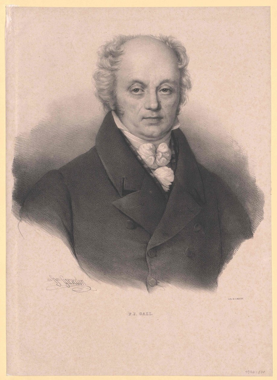 Franz Joseph Gall von Artist Unknown