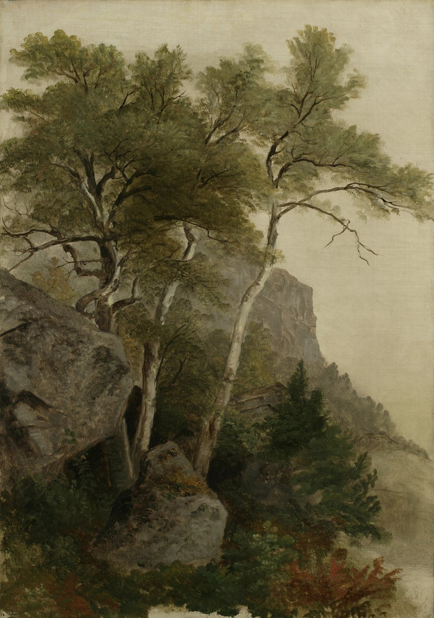 Landschaft, 1855 von Asher Brown Durand