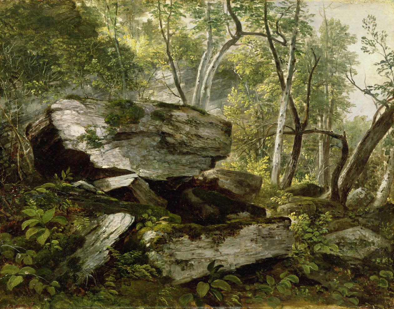 Studie aus der Natur: Felsen und Bäume, um 1856 von Asher Brown Durand