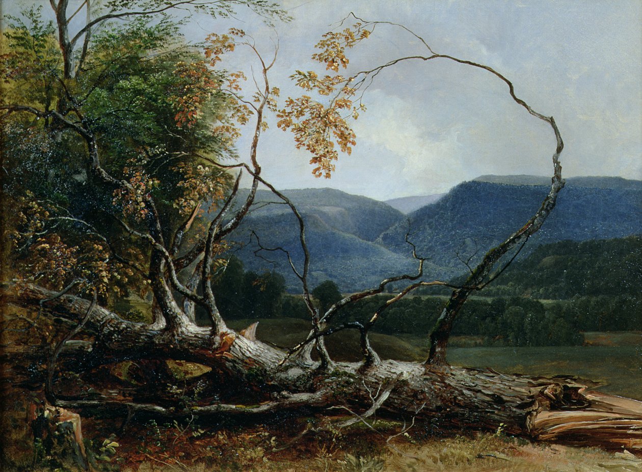 Stratton Notch, Vermont von Asher Brown Durand