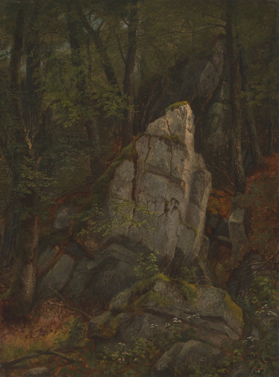 Studie von Felsen in Pearson