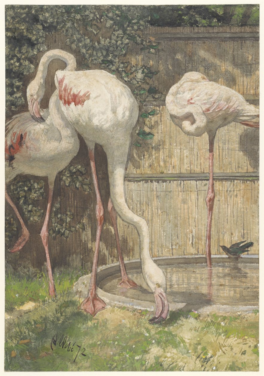 Drei Flamingos in der Nähe eines Beckens von August Allebe