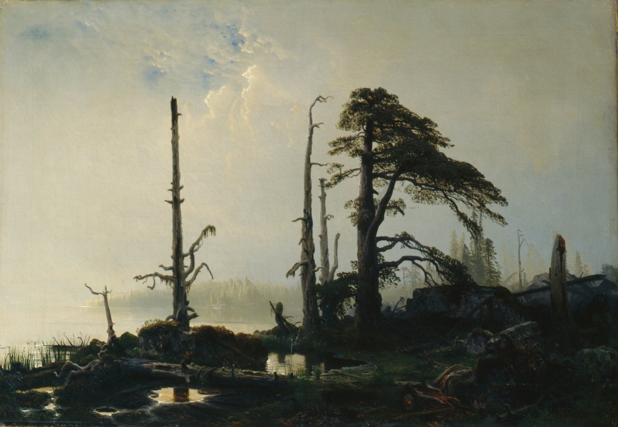 See im Nebel von August Cappelen