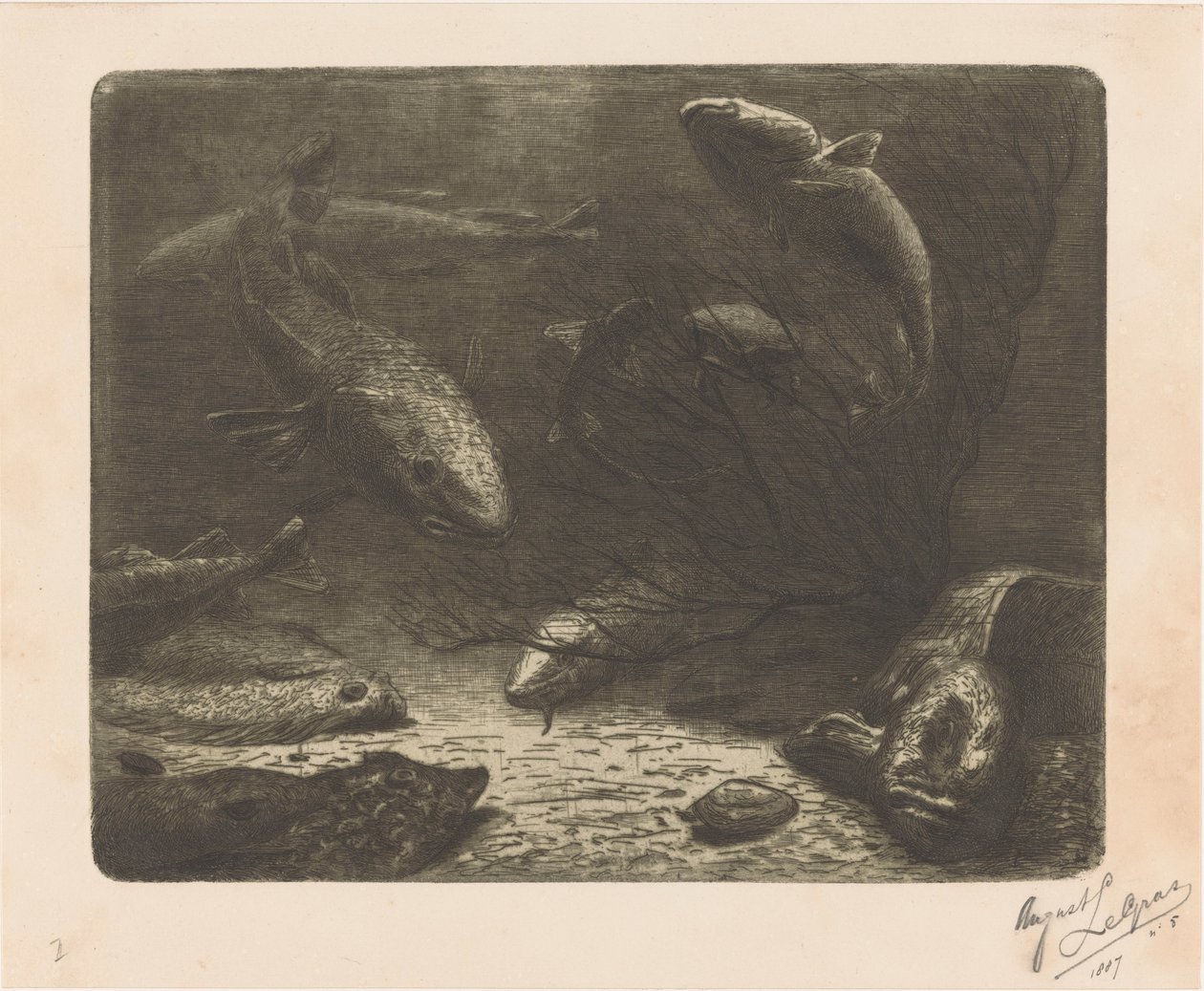 Aquarium von August Le Gras (signed by artist)