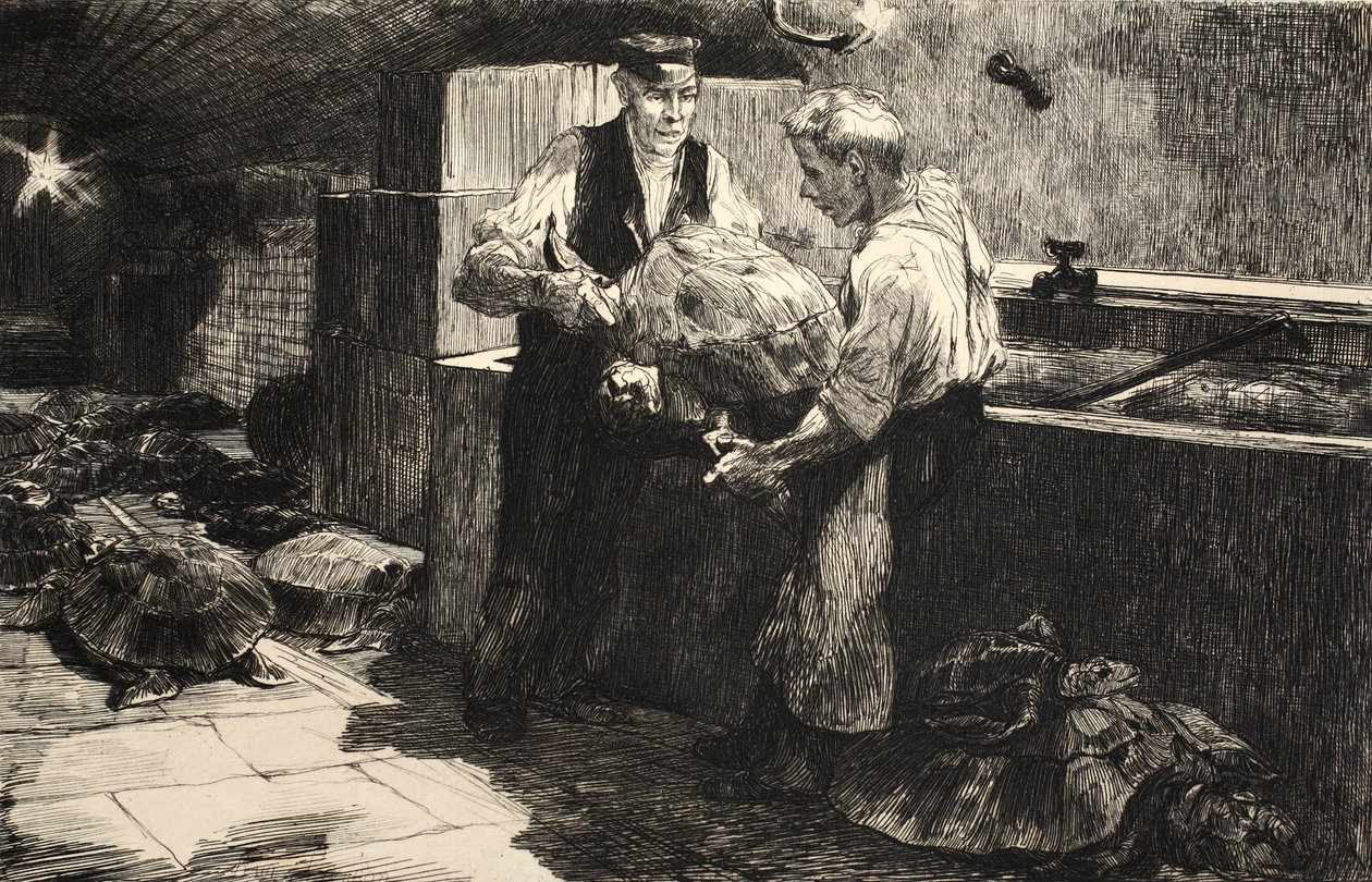 Illustration aus 