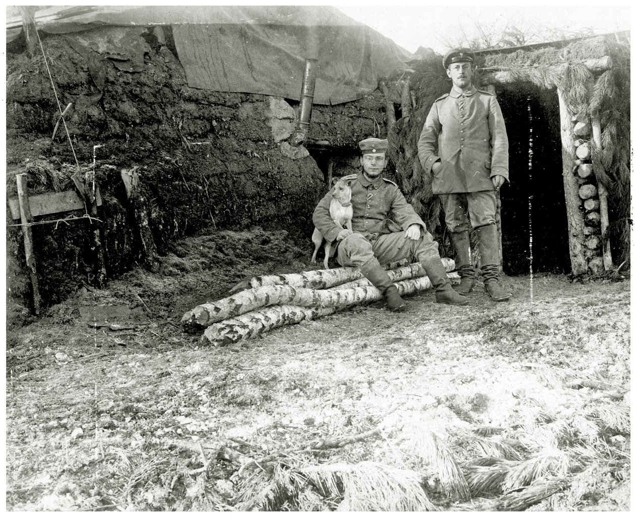 Österreichische Soldaten mit einem Hund, 1914-18 von Austrian Photographer