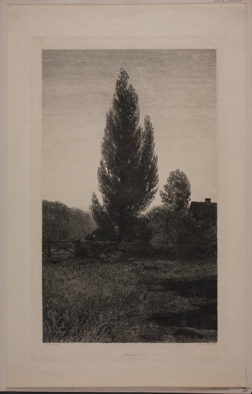 Sommeraften von Axel Holm