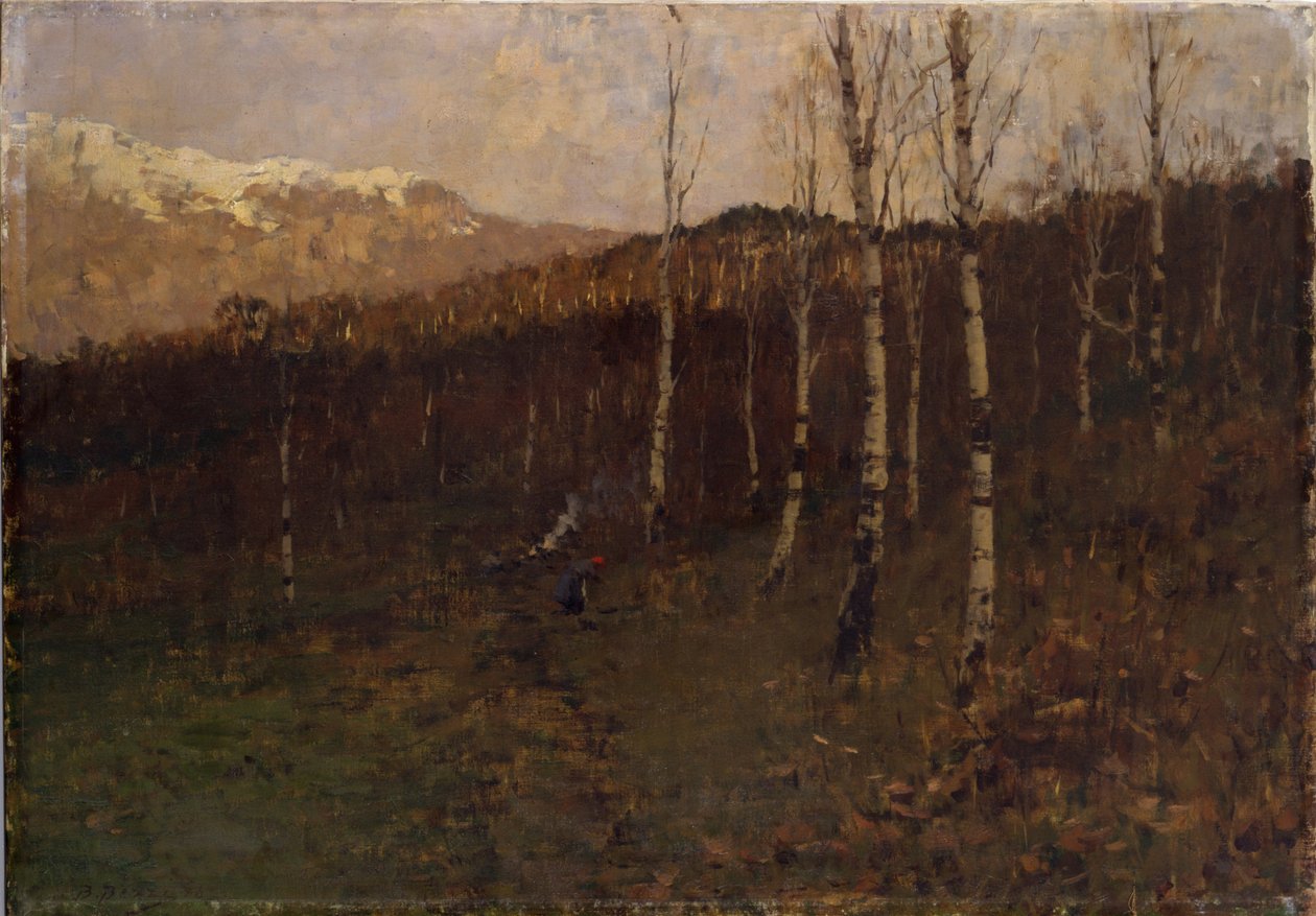 Birkenwald von Bartolomeo Bezzi
