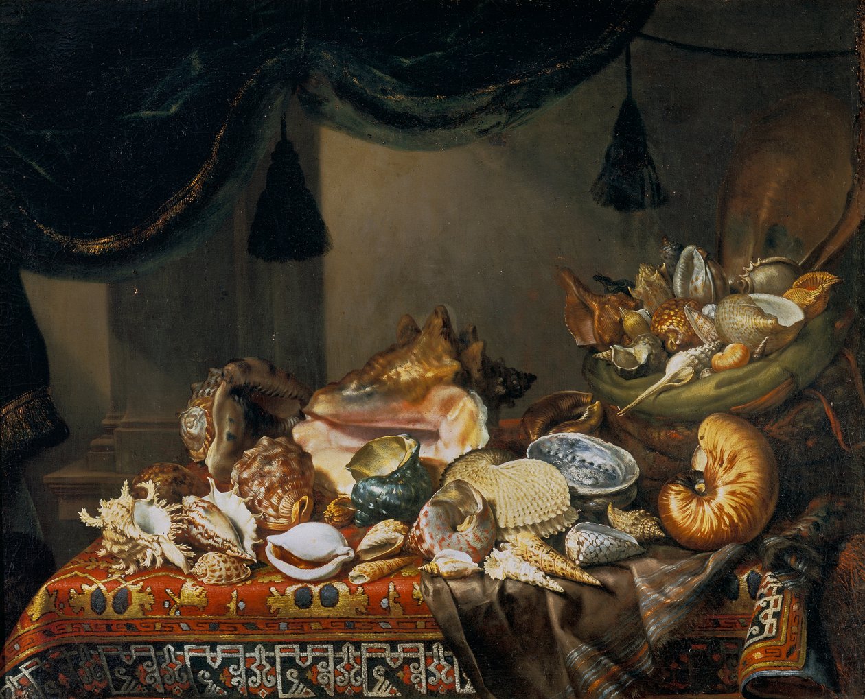 Stillleben mit Muscheln von Bartolomeo Bimbi